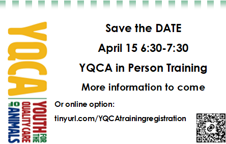 Youth for the Quality Care of Animals (YQCA) is a national multi-species quality assurance program for youth ages 8 to 21. The program is designed to provide a minimum 60 minutes of education each year. Save the Date for the Price County Market Animal Sale program.
The YQCA organizational Board of Directors adopted the following goals for the YQCA training and certification program:
Ensure safety and well-being of animals produced by youth for showing and for 4-H and FFA projects.
Ensure a safe food supply to consumers.
Enhance the future of livestock industry by educating youth on these very important issues so they can become more informed producers, consumers and/or employees in the agriculture and food industry.
Maximize the limited development time and budgets of state and national youth program leaders to provide an effective quality assurance program.
Offer livestock shows a valid, national quality assurance certification for youth livestock exhibitors.